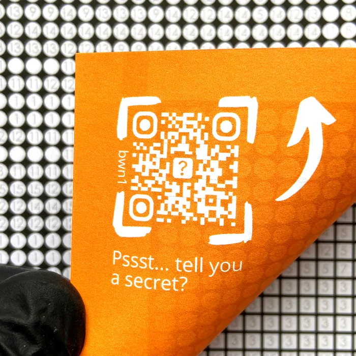 A True Mystery + Secret Reveal